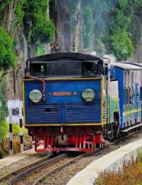 ooty local