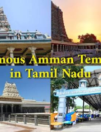 Palani ? Madurai ? Thiruchendur