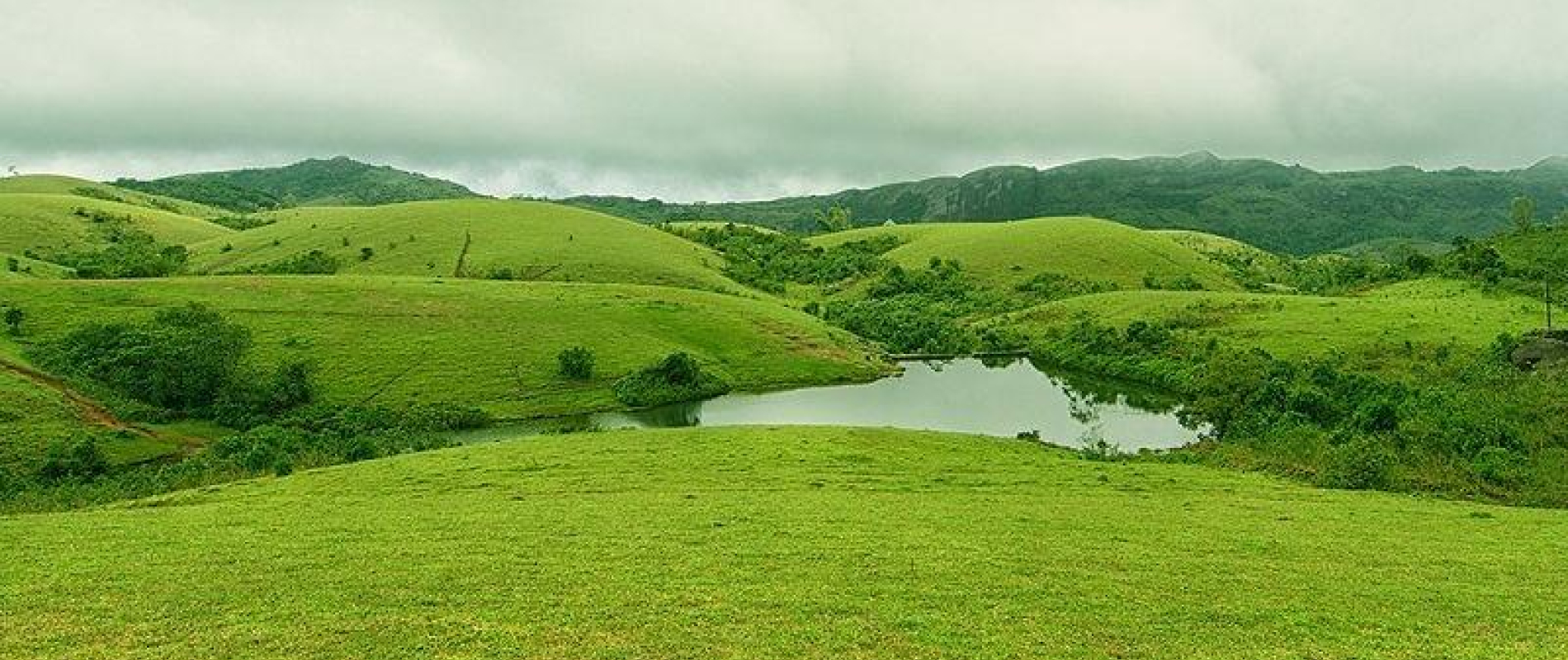 kerala hillsstation tour
